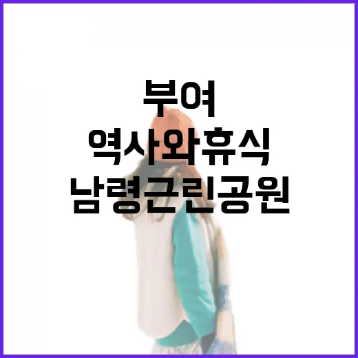 부여 남령근린공원, 역사와 휴식의 명소