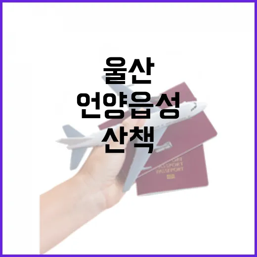 울산 언양읍성 봄 산책 명소