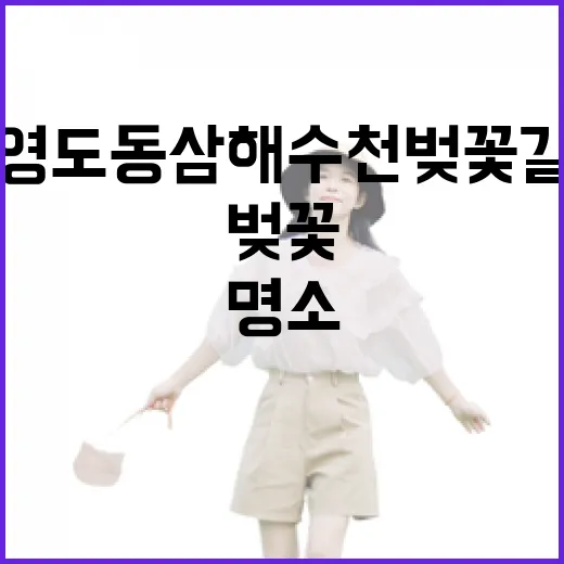 영도 동삼해수천 벚꽃길 봄 산책 명소