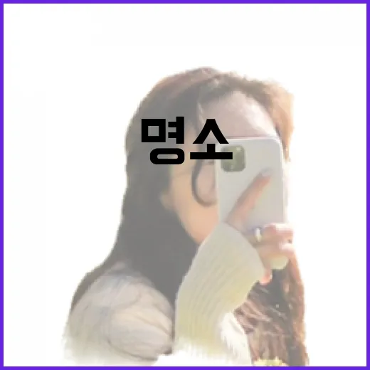 충남 봄 피크닉 명소 7선