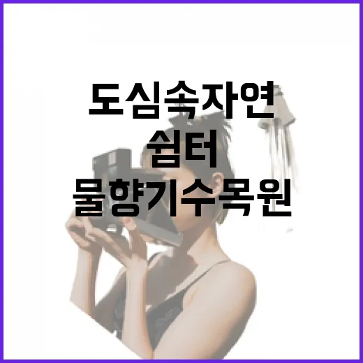 도심 속 자연의 쉼터, 경기도 물향기수목원