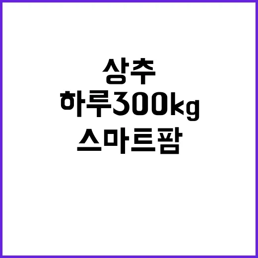 양산타워 전망대와 북카페 체험기