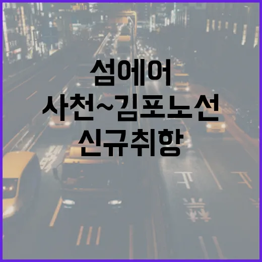 사천~김포 노선 3배 확대, 섬에어 신규 취항