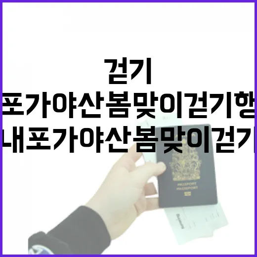 내포 가야산 봄맞이 걷기 행사 신청하세요