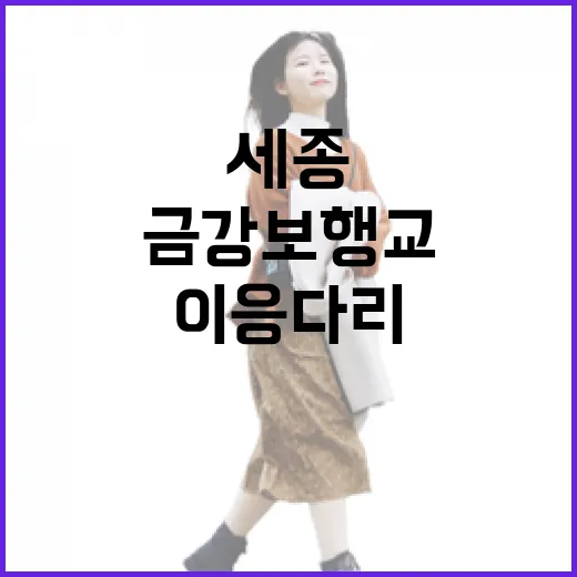 세종 이응다리 금강보행교 산책과 런닝 명소