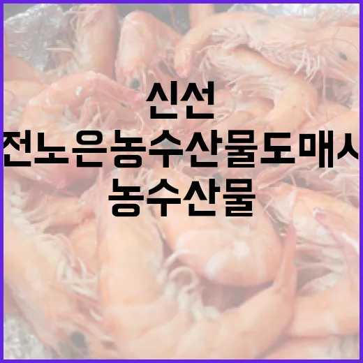 대전 노은농수산물도매시장 신선함 가득