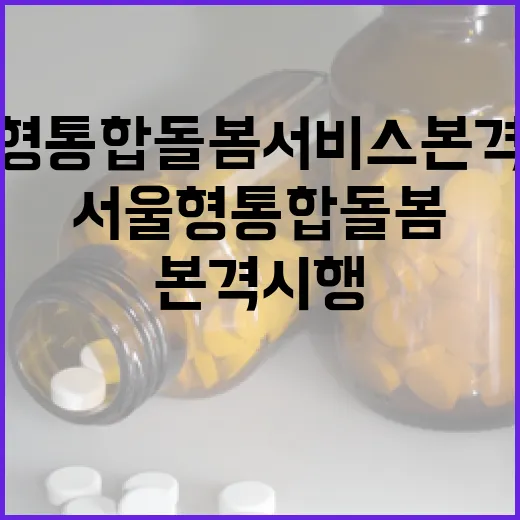 서울형 통합 돌봄 서비스 본격 시행