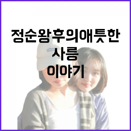 단종과 정순왕후의 애틋한 사릉 이야기