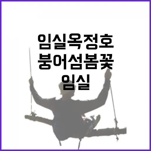 임실 옥정호 붕어섬 봄꽃 만개 현장