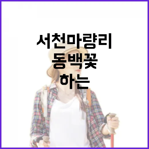 붉은 동백꽃과 함께하는 서천 마량리 산책