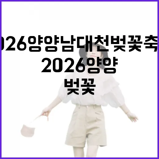 2026 양양 남대천 벚꽃축제 현장