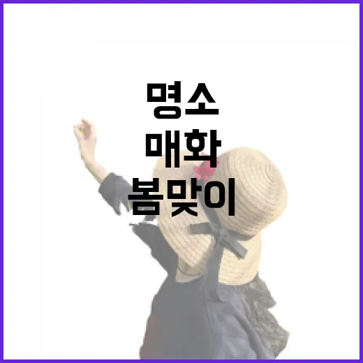 세종시 봄맞이 매화 명소 집중 탐방