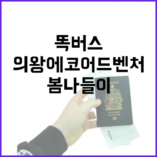 의왕 에코 어드벤처 봄나들이와 똑버스 활용법