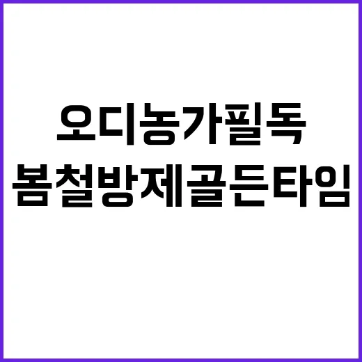 오디 농가 필독, …