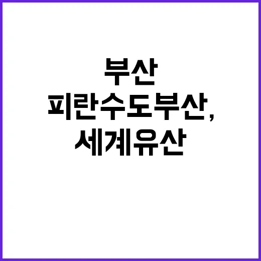 피란수도 부산, 세…