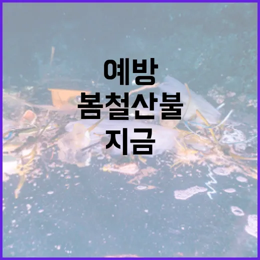 봄철 산불 예방, 지금이 가장 중요합니다