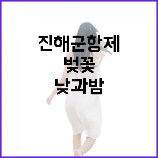 진해 군항제, 낮과 밤이 빚는 벚꽃의 향연