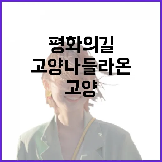 고양 나들라온, 평화의 길 체험 명소