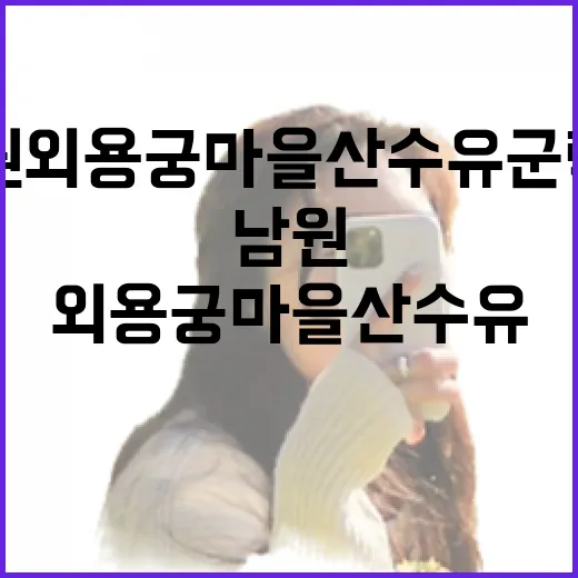 남원 외용궁마을 산수유 군락지 봄빛 풍경