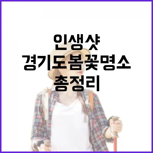 경기도 봄꽃 명소 5선, 인생샷 명소 총정리