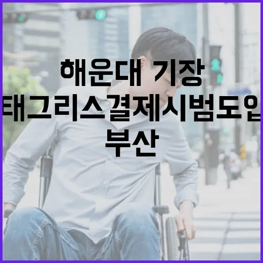 부산 해운대·기장 태그리스 결제 시범 도입