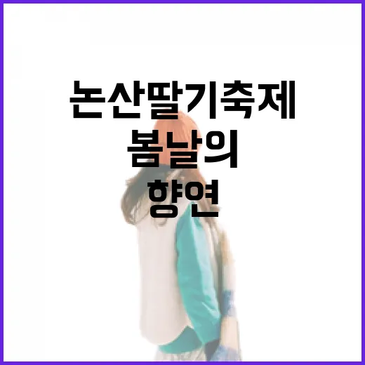 논산 딸기축제, 봄날의 특별한 체험과 맛의 향연