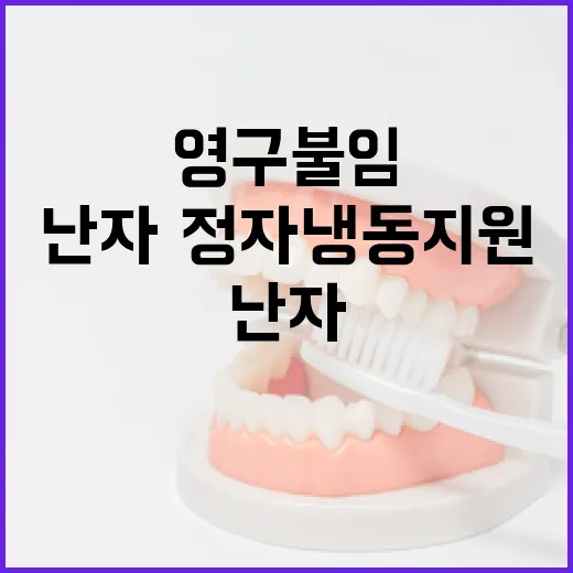 대전시 영구 불임 난자·정자 냉동 지원 확대