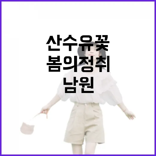 남원 산수유꽃과 봄의 정취