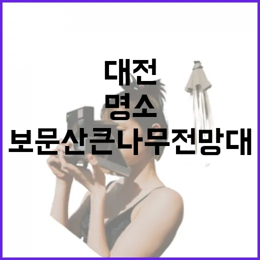 보문산 큰나무 전망대, 대전 야경 명소로 재탄생