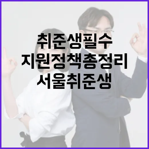 서울 취준생 필수 취업지원 정책 총정리