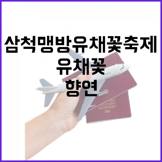 삼척맹방 유채꽃축제 봄빛 향연