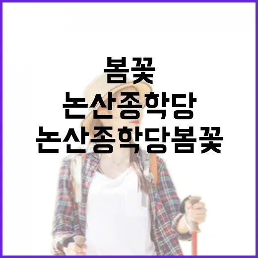 논산 종학당 봄꽃 향연 속으로