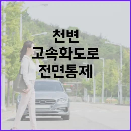 천변고속화도로 전면통제, 시민 안전 최우선