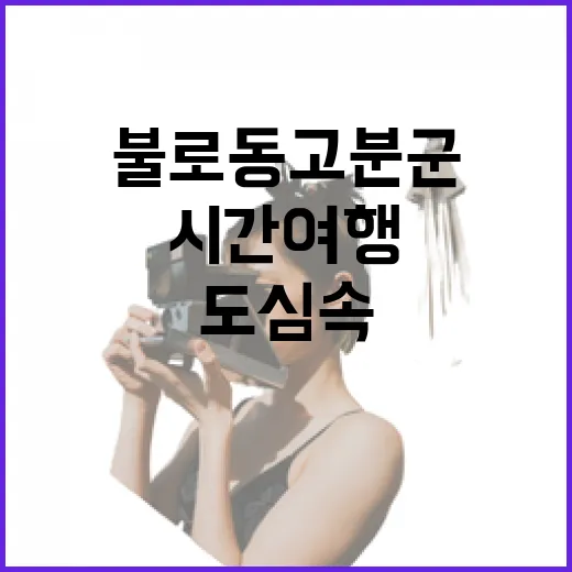 불로동 고분군, 도심 속 시간 여행