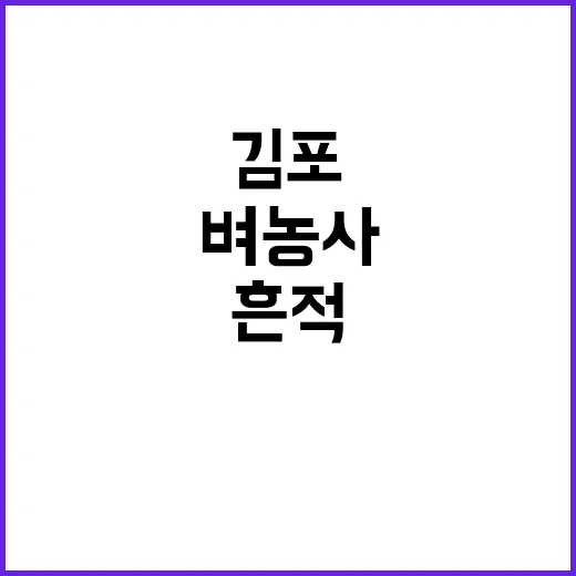 김포서 5000년 …