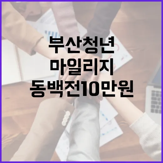 부산 청년 동백전 10만원 마일리지 완벽 활용법