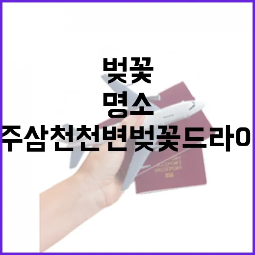 전주 삼천천변 벚꽃 드라이브 명소 집중 조명