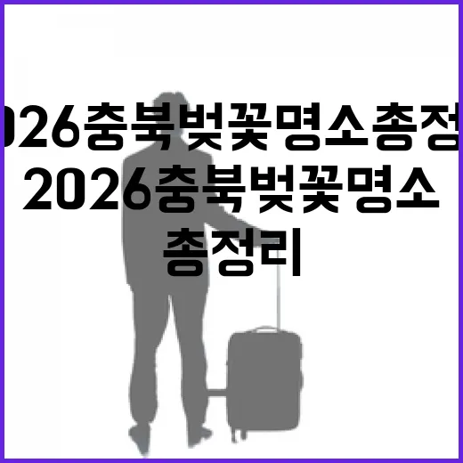2026 충북 벚꽃 명소 총정리