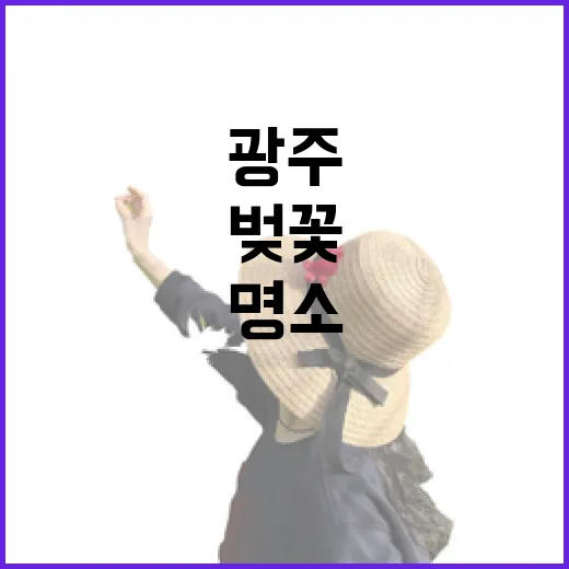 광주 학동 홍림교 벚꽃길 산책 명소