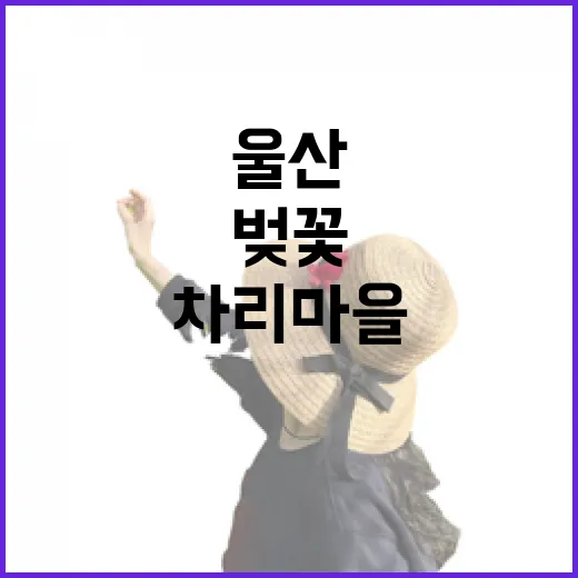 울산 차리마을 벚꽃터널 봄 풍경