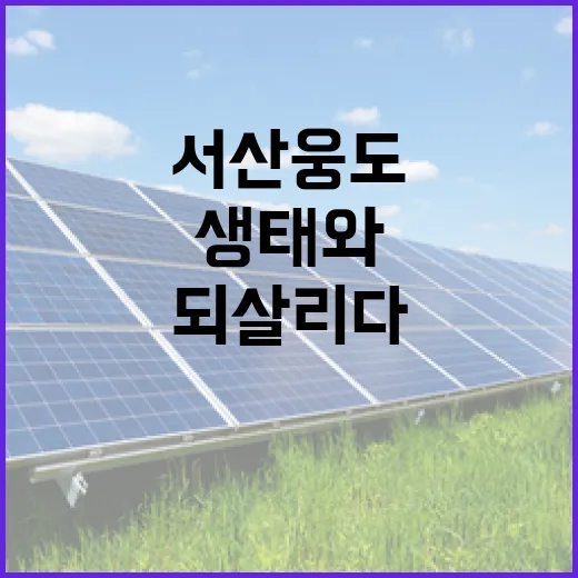 서산 웅도 갯벌, 생태와 주민 삶 되살리다