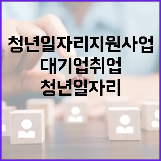 대기업 취업 이끈 청년일자리 지원사업