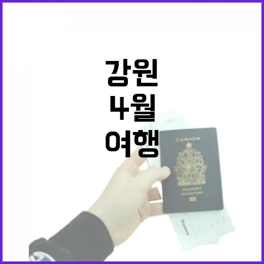 4월 강원 영월·양양 봄 여행 명소