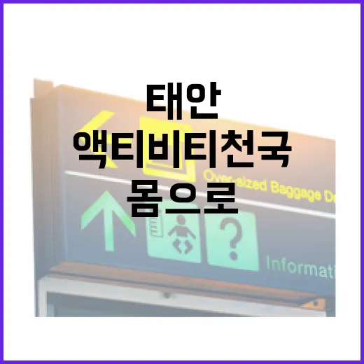 태안 액티비티 천국, 몸으로 즐기는 여행지