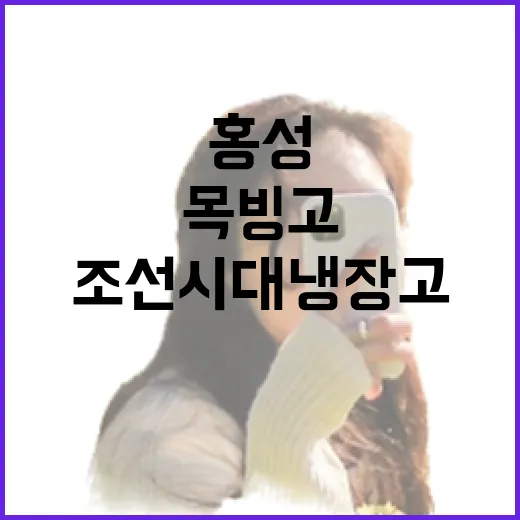 조선시대 냉장고, 홍성 목빙고의 비밀