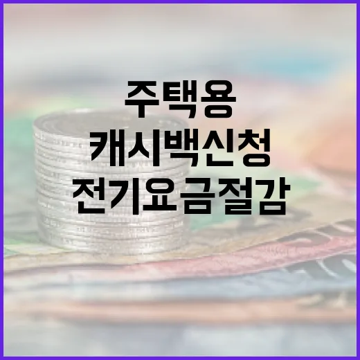 주택용 전기요금 절감 캐시백 신청법