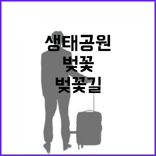 낙동강 벚꽃길, 봄바람 속 생태공원 산책