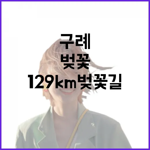 구례 129km 벚꽃길, 봄의 진수
