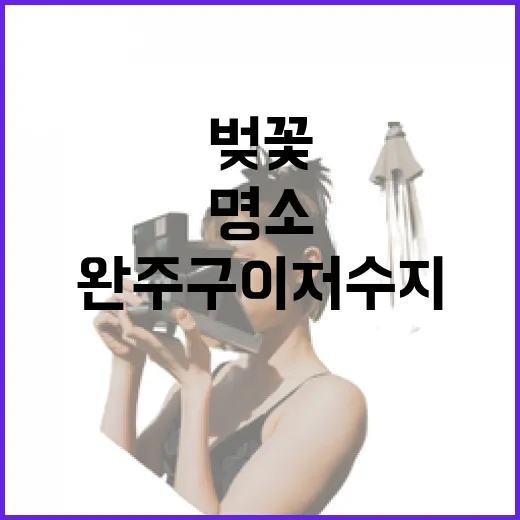 완주 구이저수지 벚꽃길 봄꽃 명소