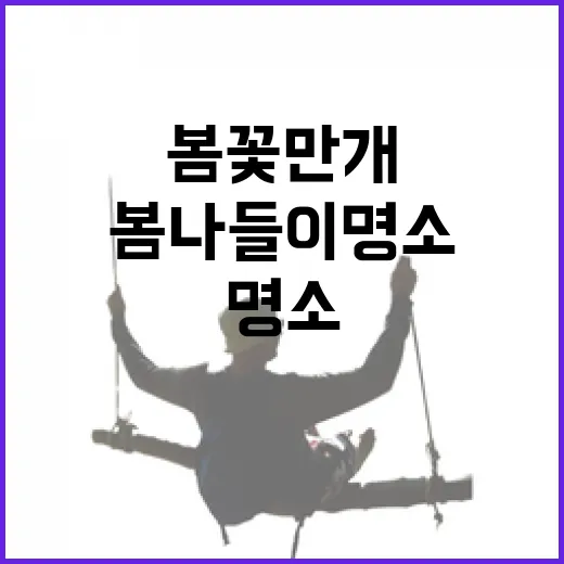 광주 봄꽃 만개, 봄나들이 명소 총집합